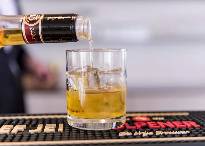 De Baak Seaside נורדוויק