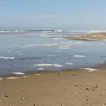 De Baak Seaside 3* Noordwijk